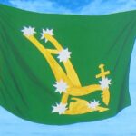 Starry Plough (Green Background) | Irish Wholesale Flags